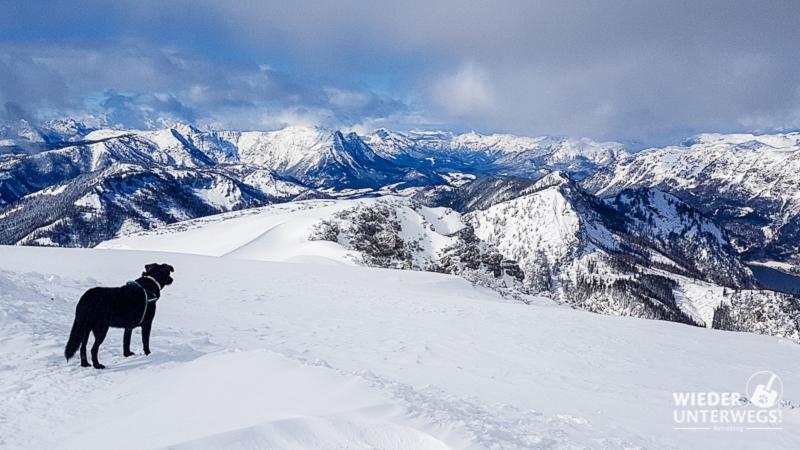 Gesäuse Winter 3.jpg